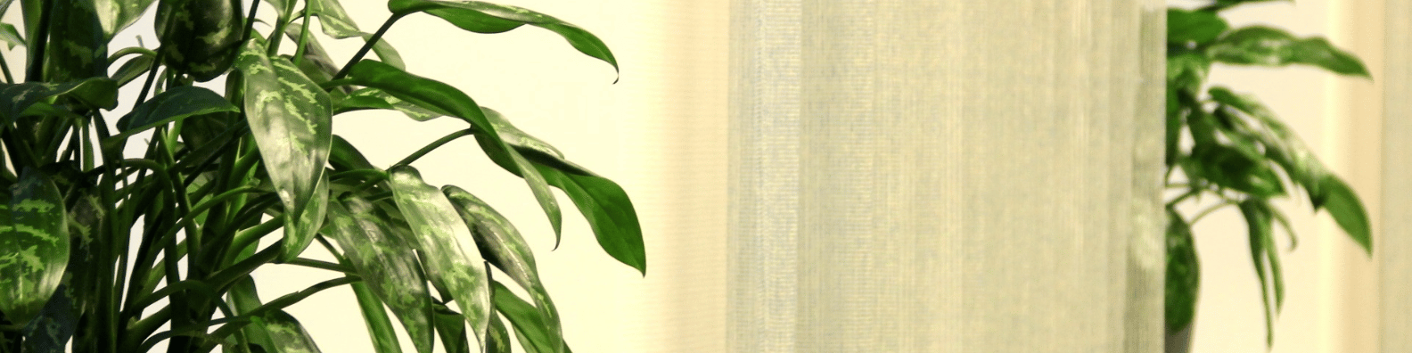 Malakanvehka taustakuva